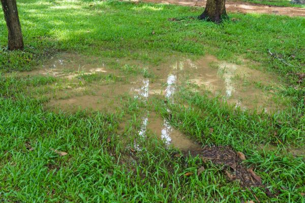 Cost of Storm Water Drainage Service in Sandpoint