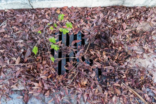 Cost of Yard Drain Unclogging in Sandpoint