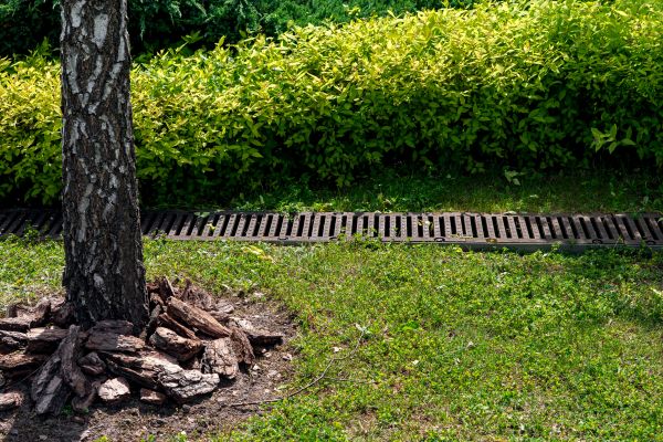 Cost of Wet Yard Drainage in Sandpoint