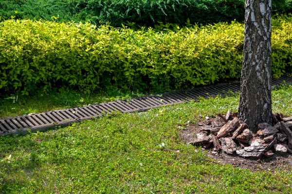 Cost of Residential Landscape Drainage in Sandpoint