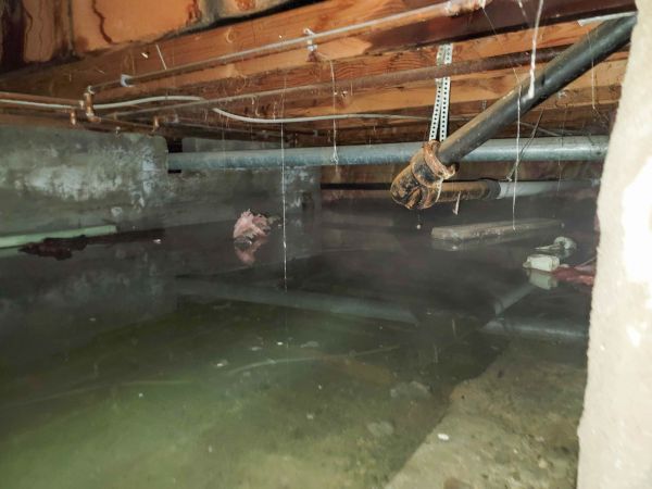 Cost of Crawlspace Drainage in Sandpoint